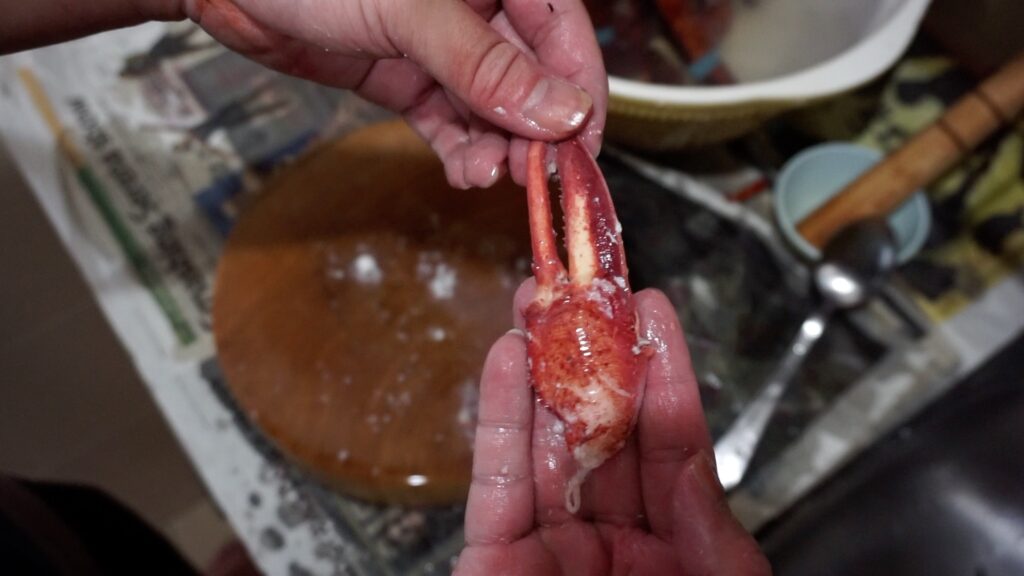 Whole Lobster Claw